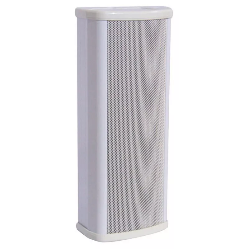 DSSCL-110 Речевой оповещатель 2х2.5'', 10/15 Вт DSSCL-110 Речевой оповещатель 2х2.5'', 10/15 Вт