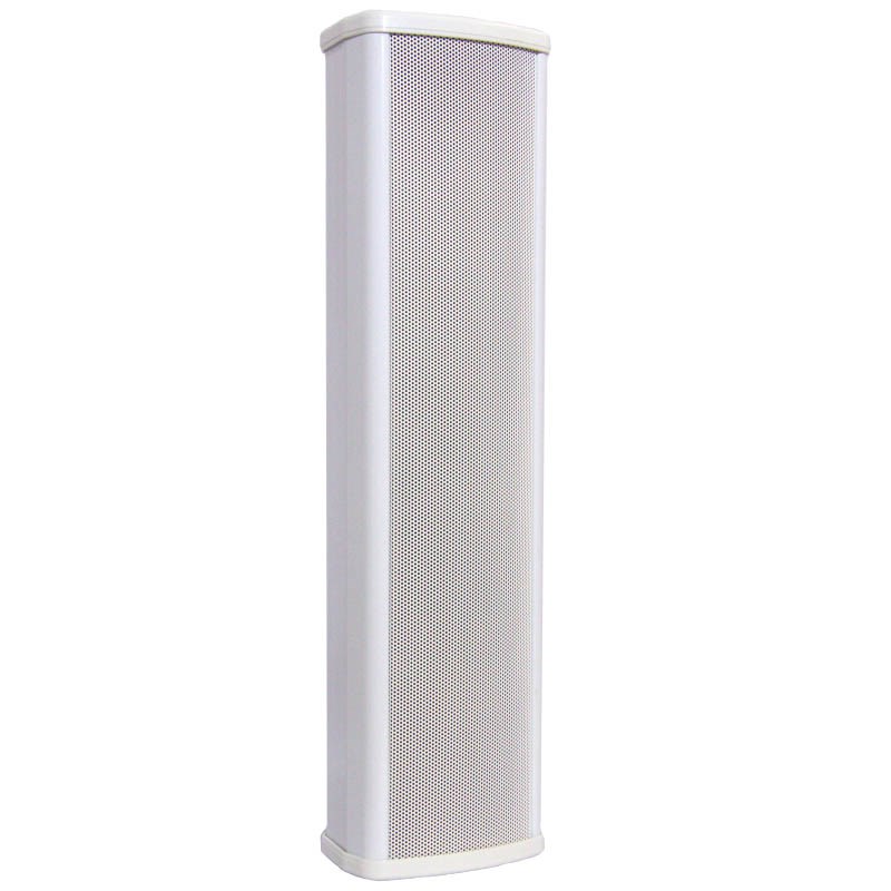 DSSCL-120 Речевой оповещатель 4х2.5'', 20/30 Вт DSSCL-120 Речевой оповещатель 4х2.5'', 20/30 Вт