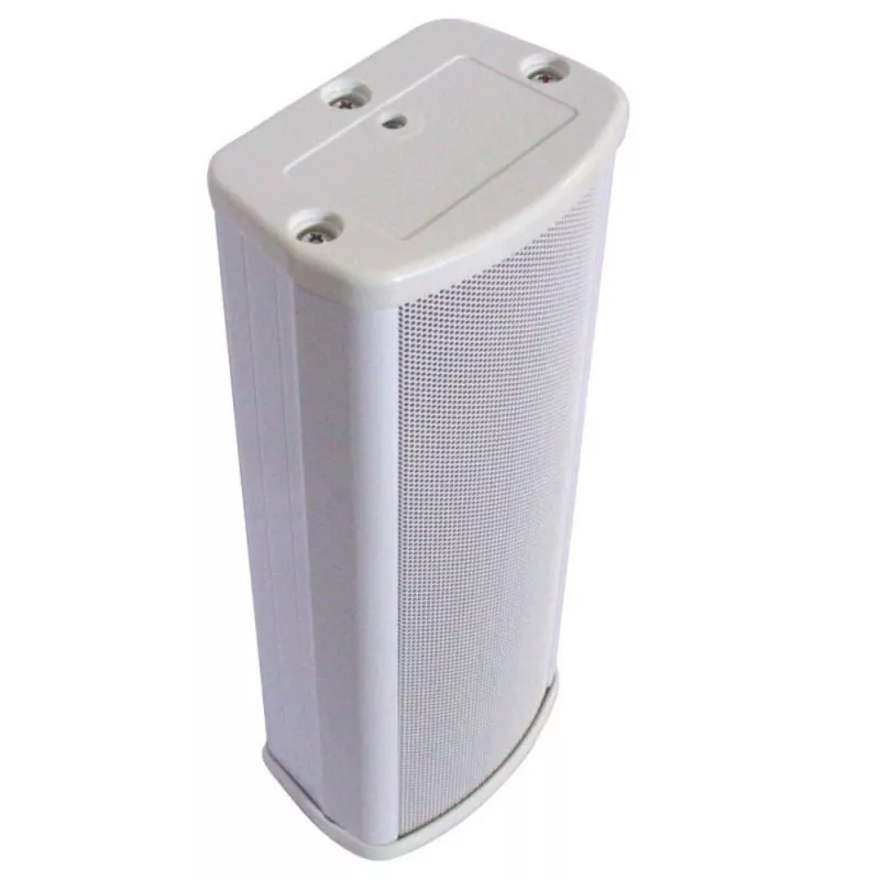 DSSCL-110 Речевой оповещатель 2х2.5'', 10/15 Вт DSSCL-110 Речевой оповещатель 2х2.5'', 10/15 Вт