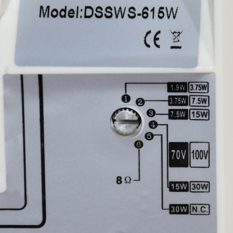 DSS DSSWS-615W настенный оповещатель 30 Вт, 6''+1.5'' DSS DSSWS-615W настенный оповещатель 30 Вт, 6''+1.5''