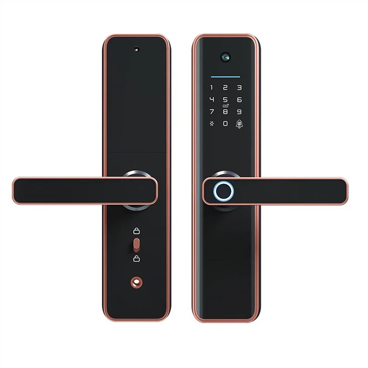 DSS DX6 PRO интеллектуальный дверной замок с камерой DSS DX6 PRO интеллектуальный дверной замок с камерой